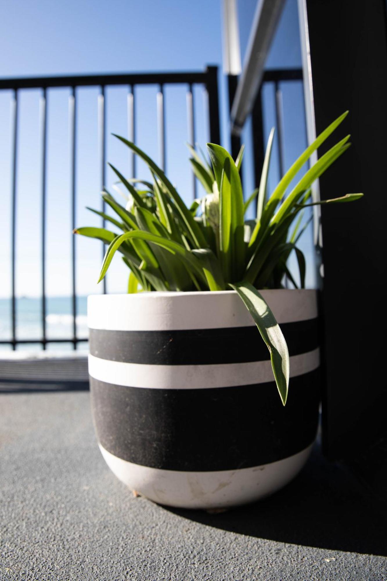 Petra Seaside Apartment Dunedin Zewnętrze zdjęcie